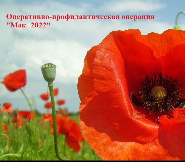 Screenshot 20220617 093644